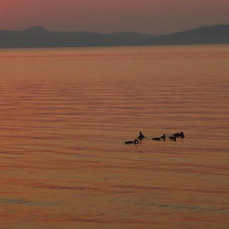 Aranyhid Hotel Balatonboglar Bagian luar foto