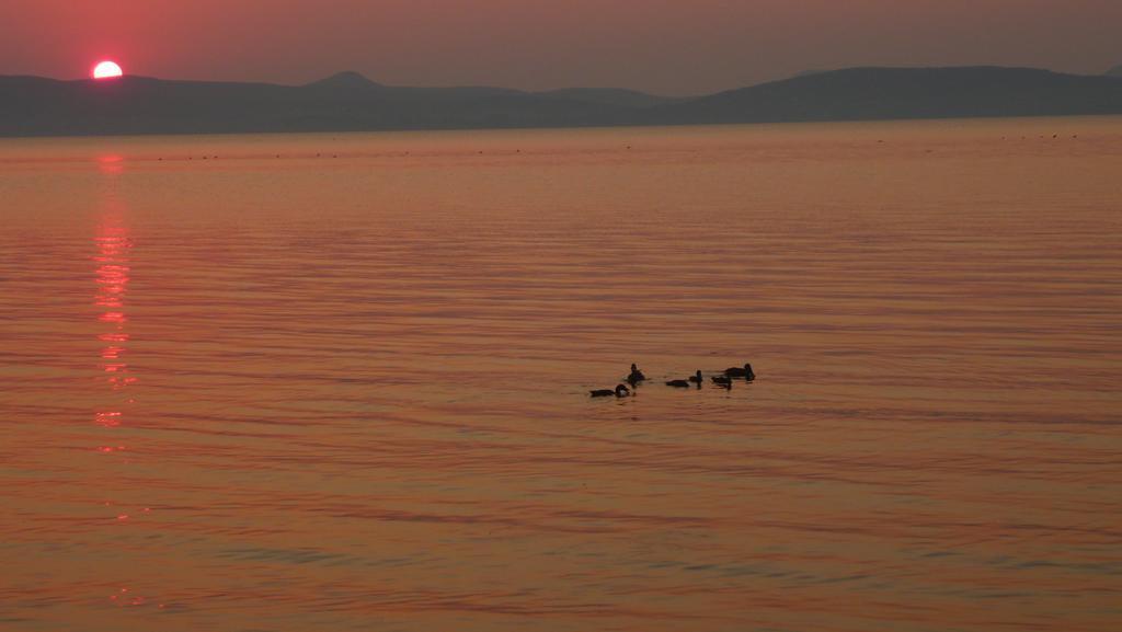 Aranyhid Hotel Balatonboglar Bagian luar foto