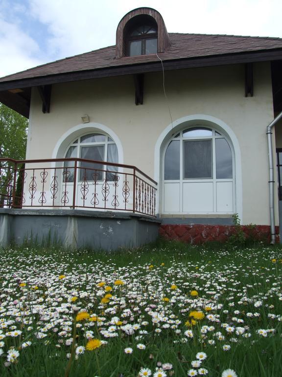 Aranyhid Hotel Balatonboglar Bagian luar foto